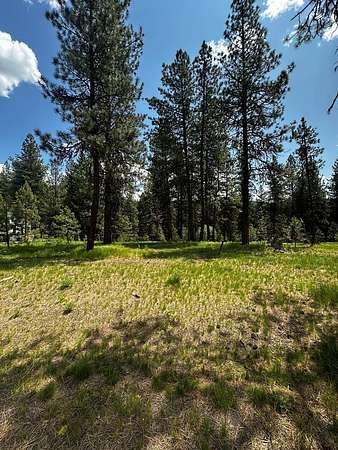 0.36 Acres of Residential Land for Sale in McCall, Idaho