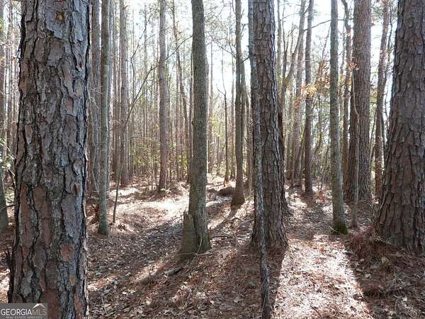 37 Acres of Land for Sale in Ellabell, Georgia