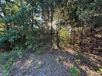 3 Acres of Residential Land for Sale in Monroe City, Missouri