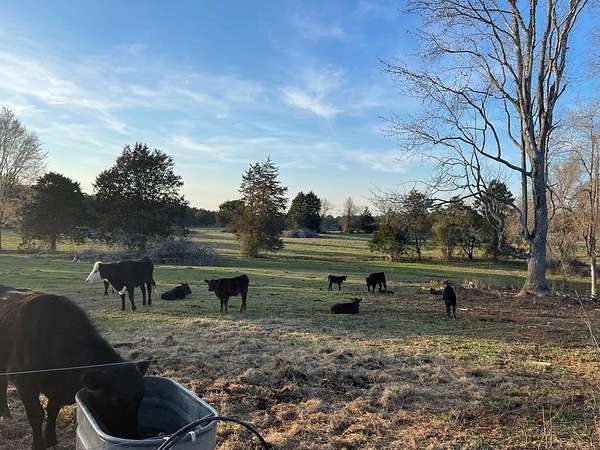 138 Acres of Recreational Land & Farm for Sale in McCormick, South Carolina