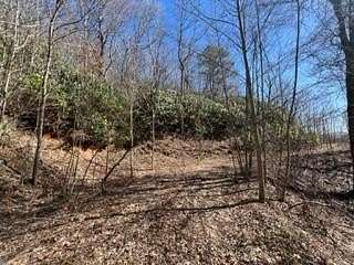 Land for Sale in Topton, North Carolina