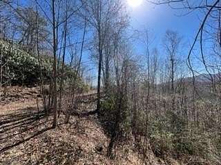 Land for Sale in Topton, North Carolina
