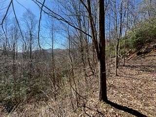Land for Sale in Topton, North Carolina