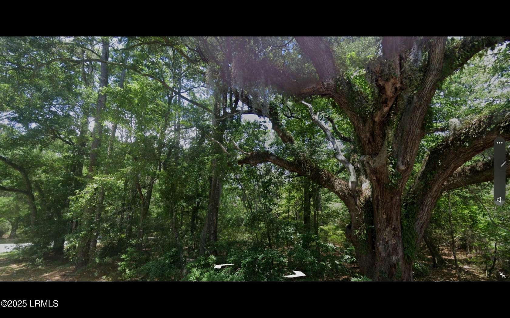 23 Acres of Land for Sale in Beaufort, South Carolina