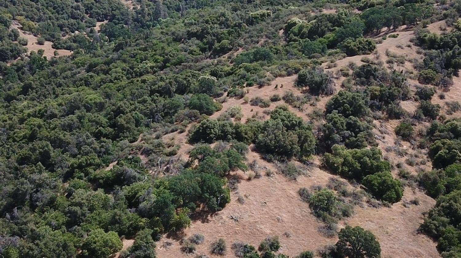 8.6 Acres of Residential Land for Sale in Miramonte, California