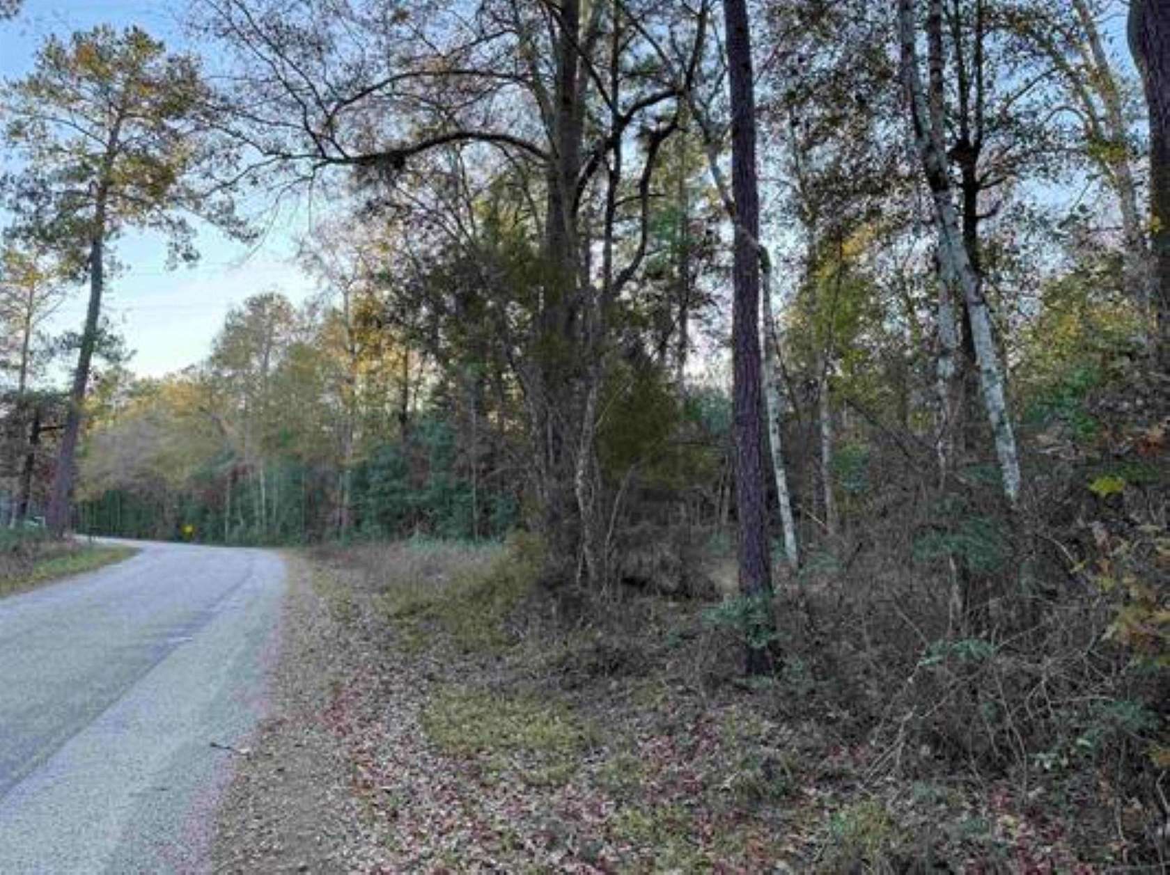 28.2 Acres of Recreational & Residential Land for Sale in Kirbyville, Texas