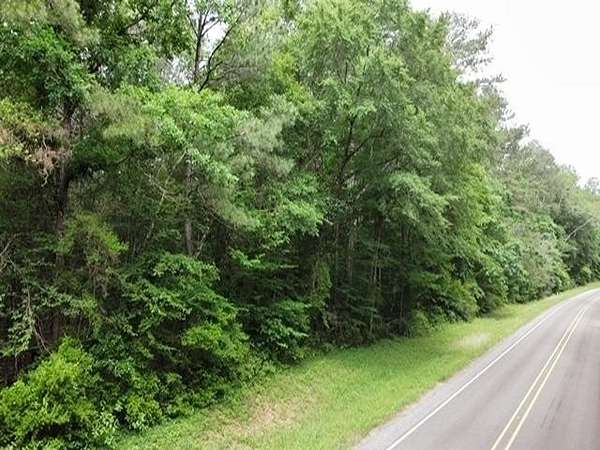 11 Acres of Recreational Land for Sale in Livingston, Texas
