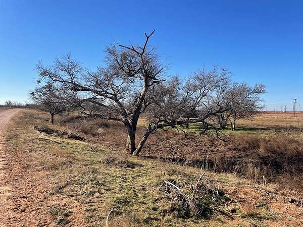 770 Acres of Land for Sale in Snyder, Texas