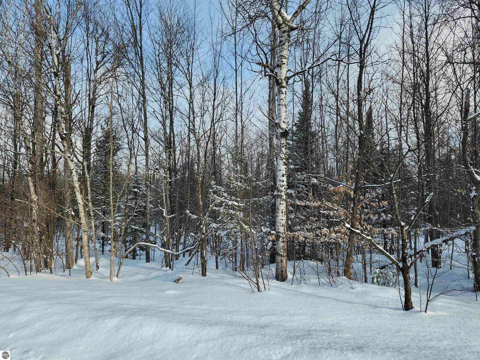 6 Acres of Land for Sale in Rapid City, Michigan