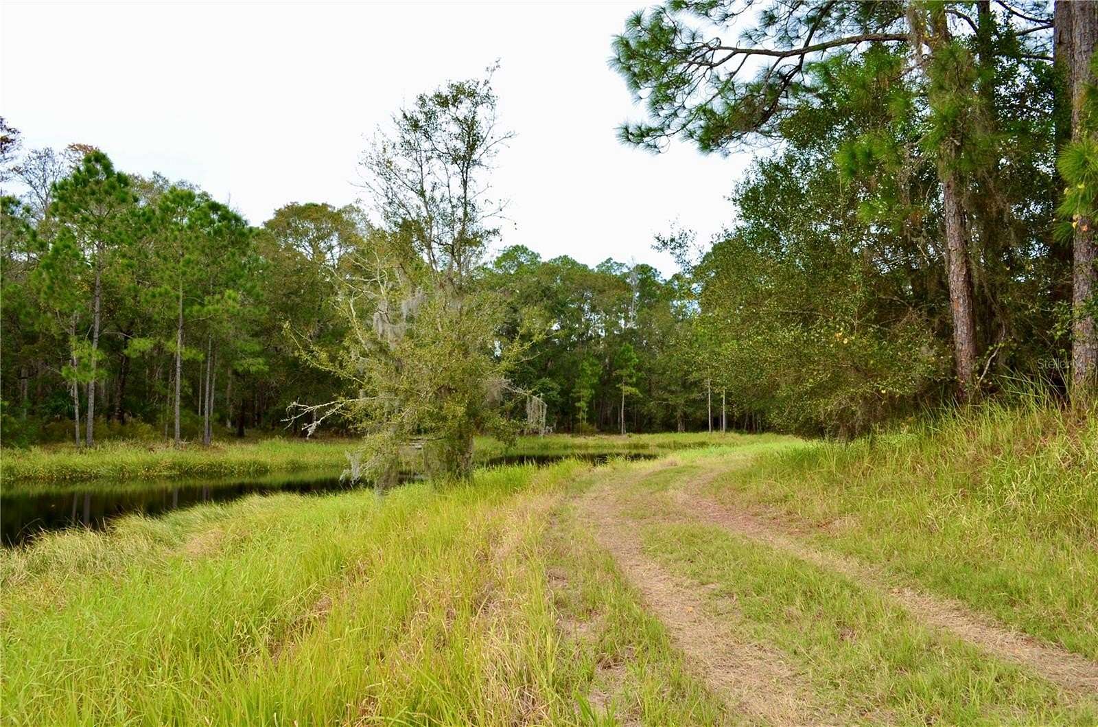 46.8 Acres of Land for Sale in Odessa, Florida