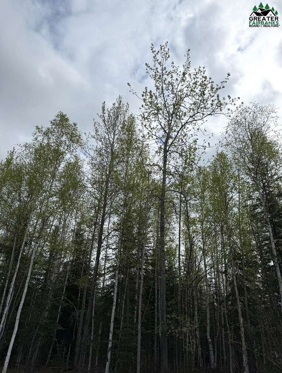 1.13 Acres of Residential Land for Sale in North Pole, Alaska