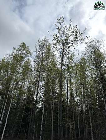 1.13 Acres of Residential Land for Sale in North Pole, Alaska