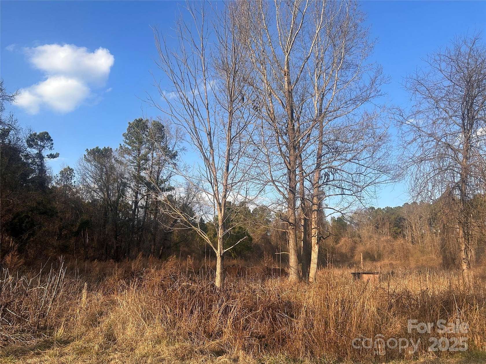 2.47 Acres of Residential Land for Sale in Winnsboro, South Carolina