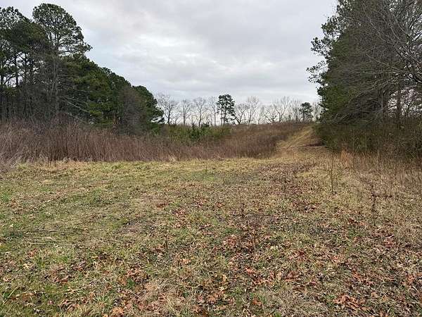 Residential Land for Sale in Ranburne, Alabama