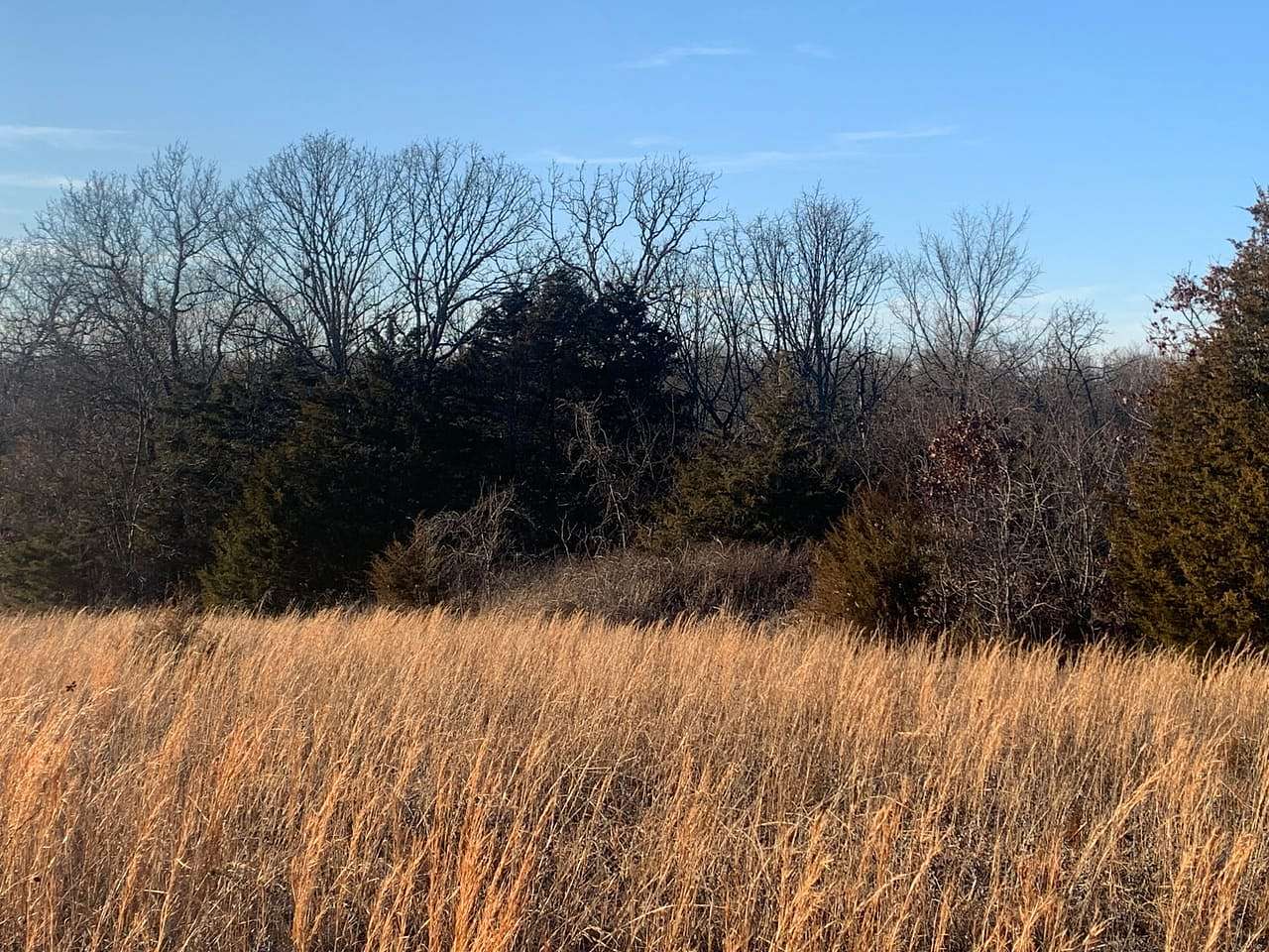 10 Acres of Recreational Land & Farm for Sale in Rolla, Missouri