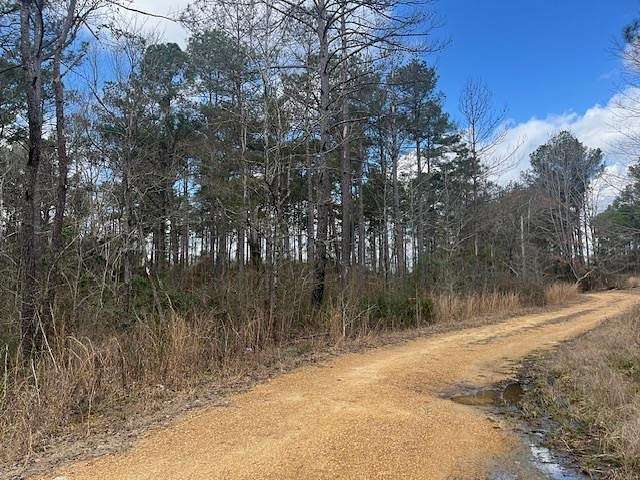 40 Acres of Recreational Land & Farm for Sale in Crystal Springs, Mississippi