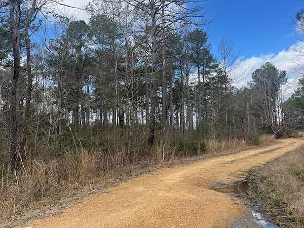 40 Acres of Recreational Land & Farm for Sale in Crystal Springs, Mississippi