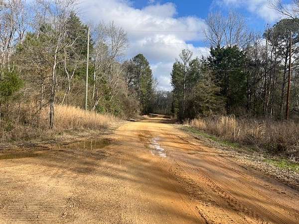 40 Acres of Land for Sale in Crystal Springs, Mississippi
