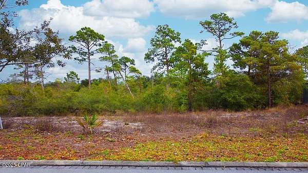 0.21 Acres of Residential Land for Sale in Port St. Joe, Florida