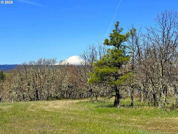 12.4 Acres of Land for Sale in Lyle, Washington