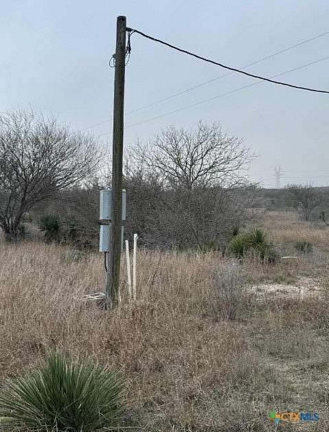 56.4 Acres of Land for Sale in Kenedy, Texas