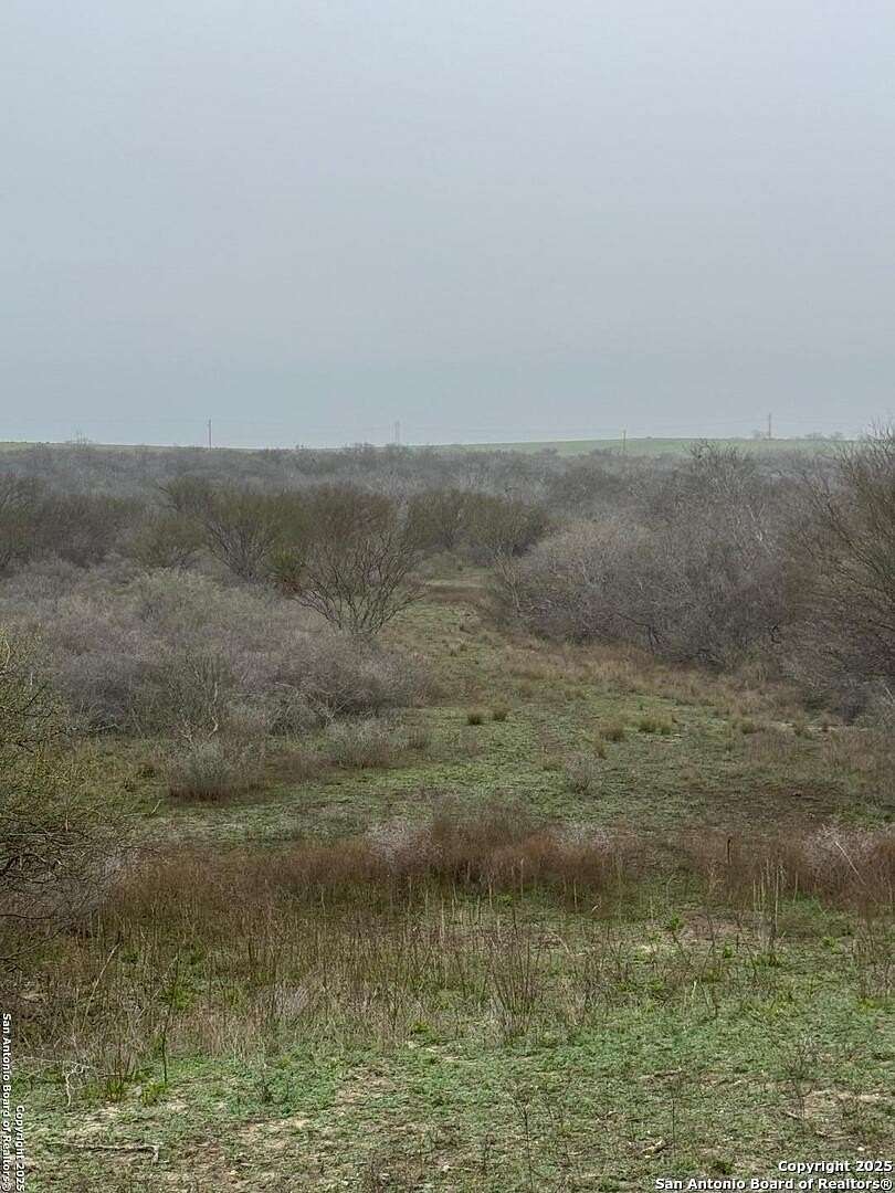 Land for Sale in Kenedy, Texas