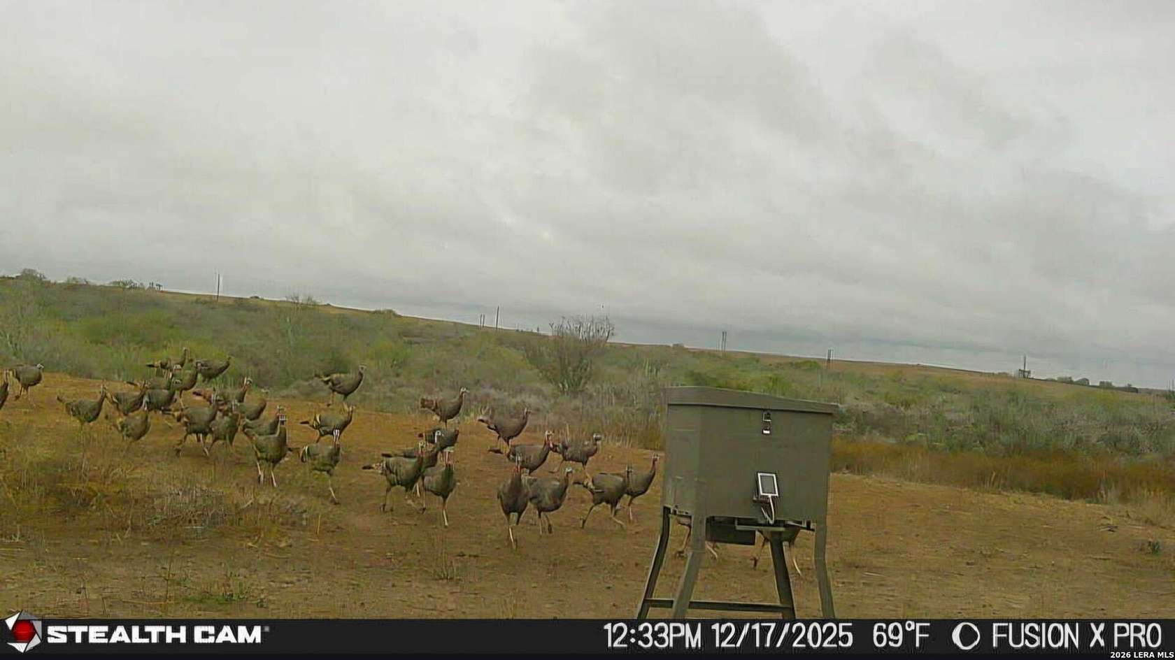 56.4 Acres of Land for Sale in Kenedy, Texas