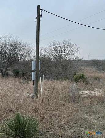 56.4 Acres of Land for Sale in Kenedy, Texas