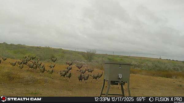 56.4 Acres of Land for Sale in Kenedy, Texas