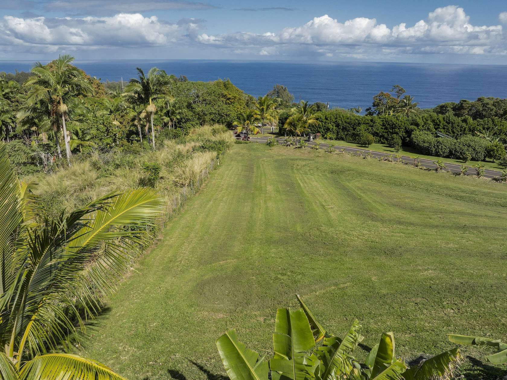 1 Acre of Residential Land for Sale in Laupahoehoe, Hawaii