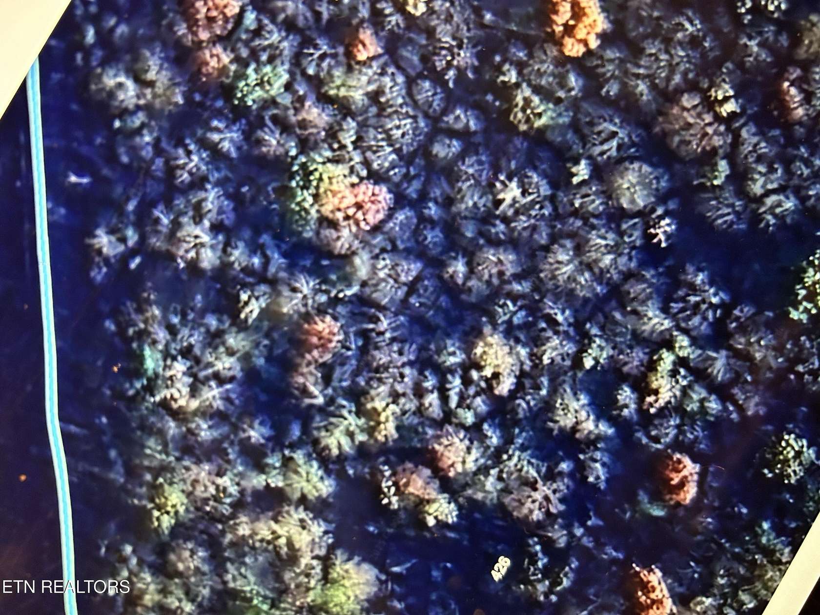 2 Acres of Residential Land for Sale in Oliver Springs, Tennessee