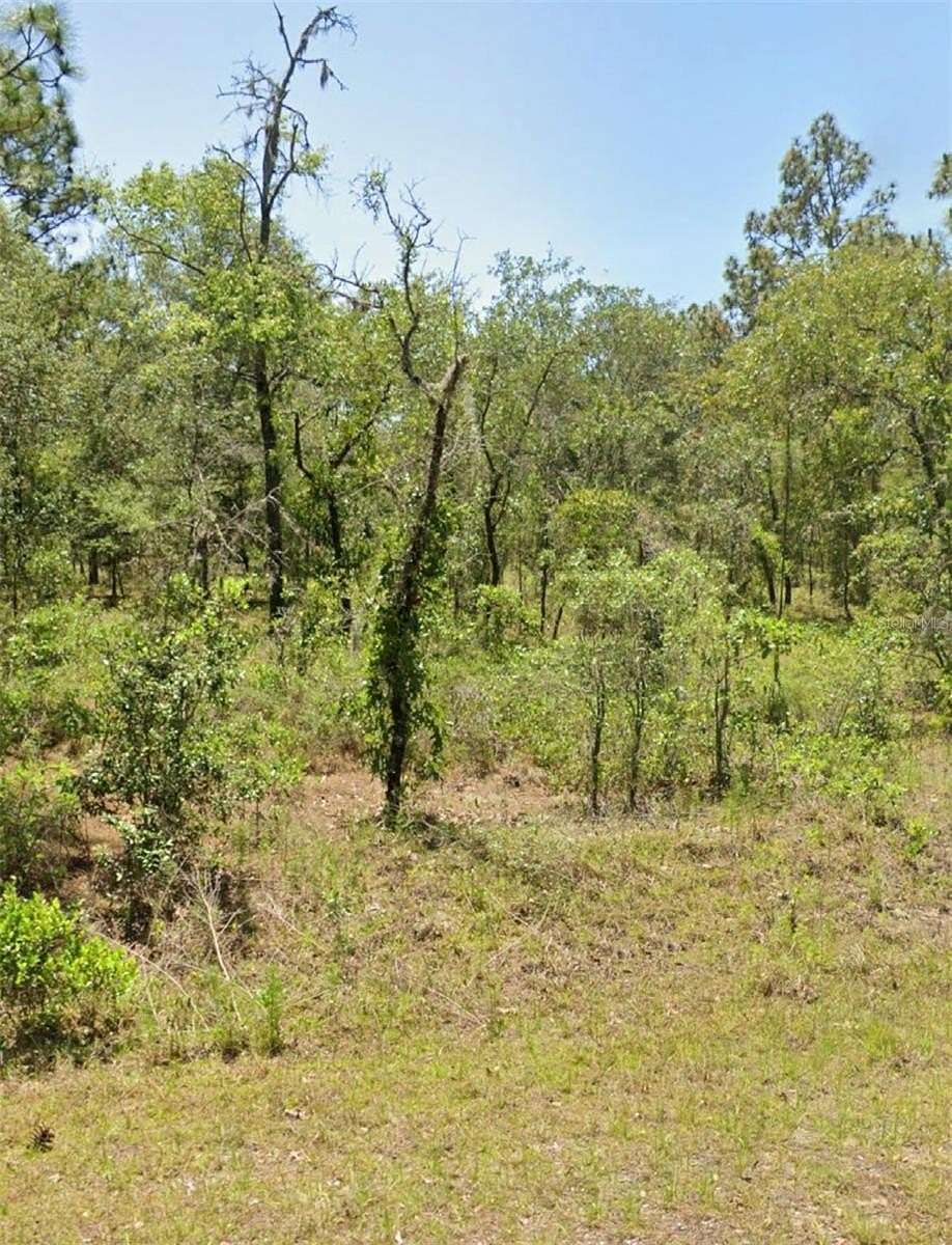 1 Acre of Residential Land for Sale in Dunnellon, Florida