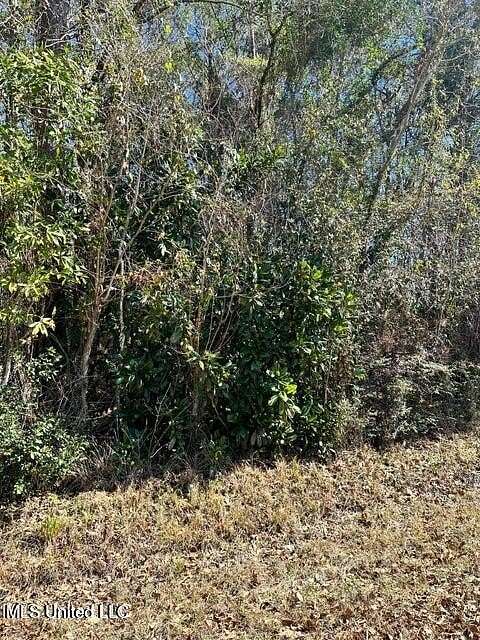 0.23 Acres of Residential Land for Sale in Ocean Springs, Mississippi