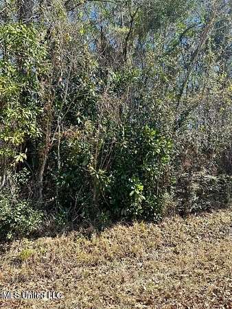 0.23 Acres of Residential Land for Sale in Ocean Springs, Mississippi