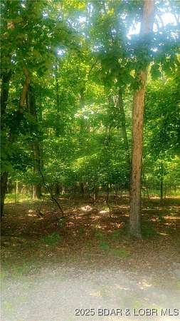 0.28 Acres of Residential Land for Sale in Village of Four Seasons, Missouri