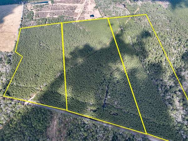 29 Acres of Recreational Land for Sale in Kountze, Texas
