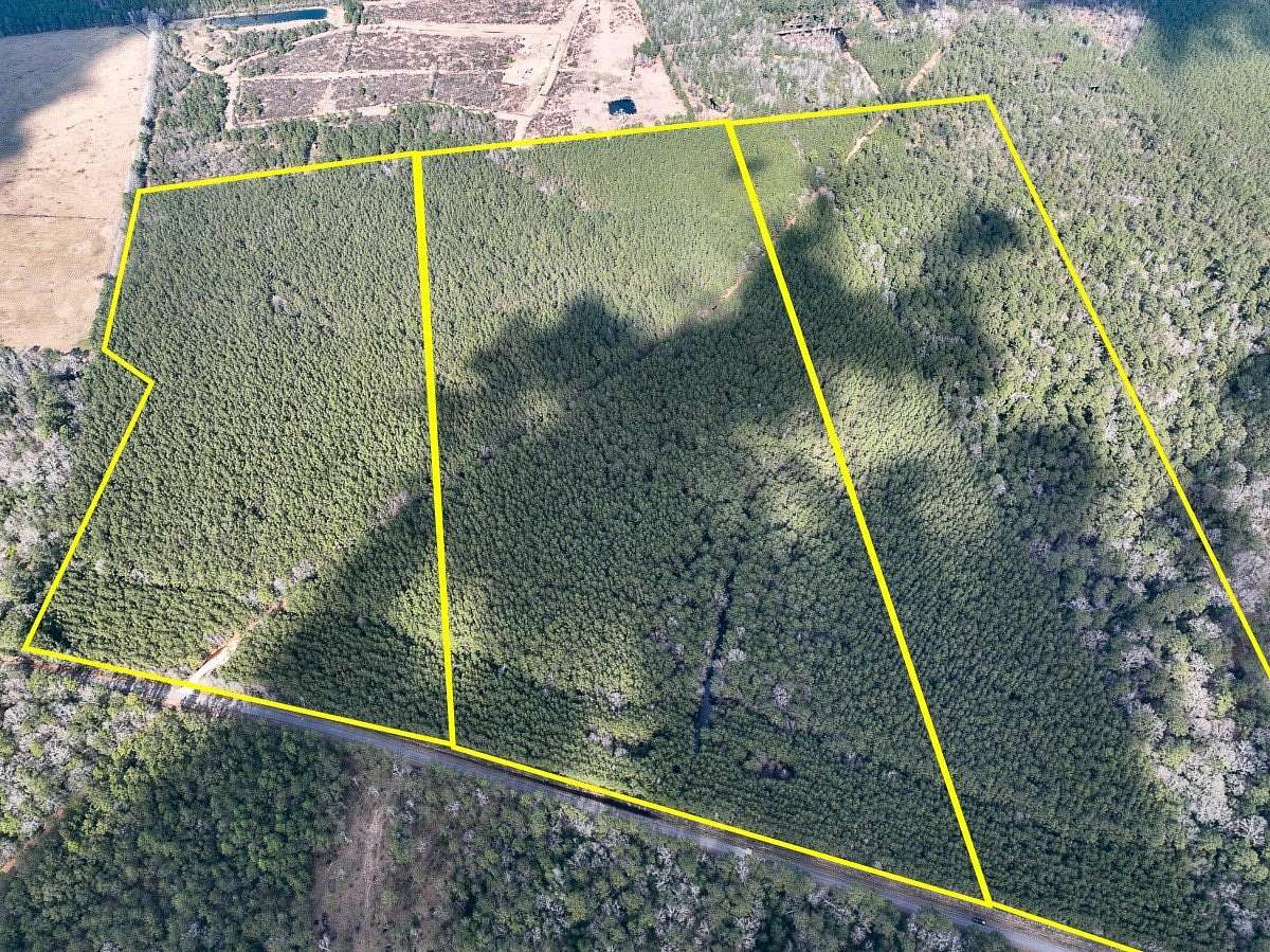 33 Acres of Recreational Land for Sale in Kountze, Texas