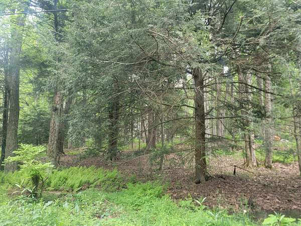 0.5 Acres of Residential Land for Sale in Pocono Lake, Pennsylvania