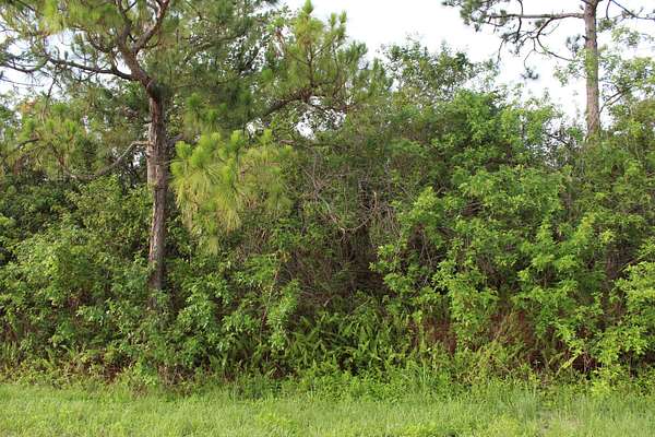 2 Acres of Residential Land for Sale in Loxahatchee Groves, Florida