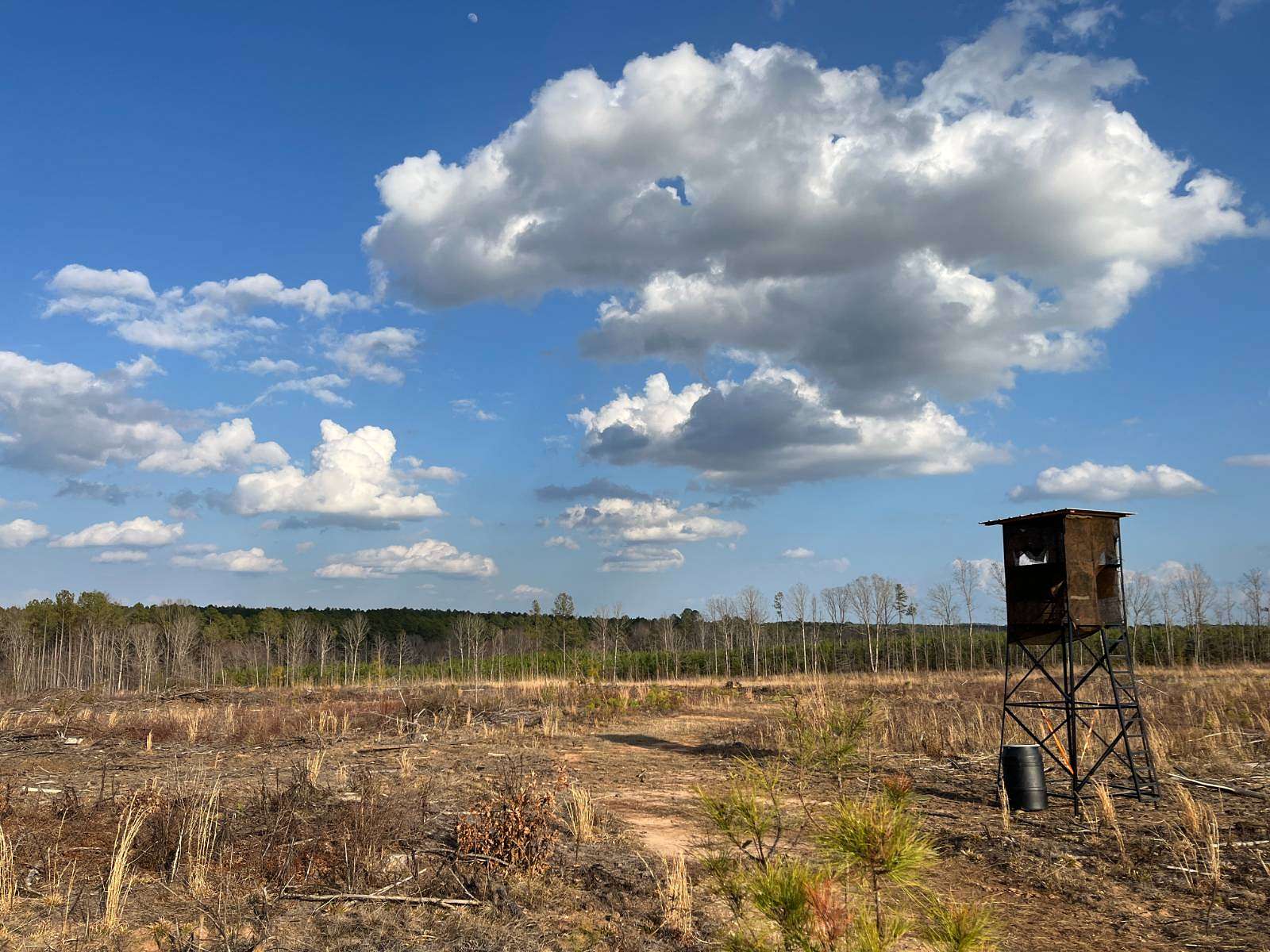 91.5 Acres of Land for Sale in Greenwood, South Carolina