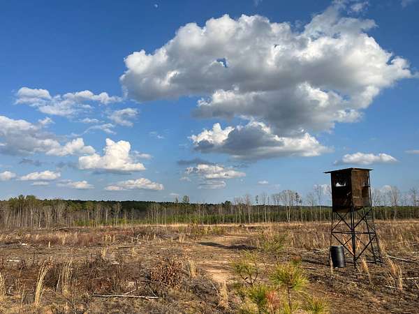 91.5 Acres of Land for Sale in Greenwood, South Carolina