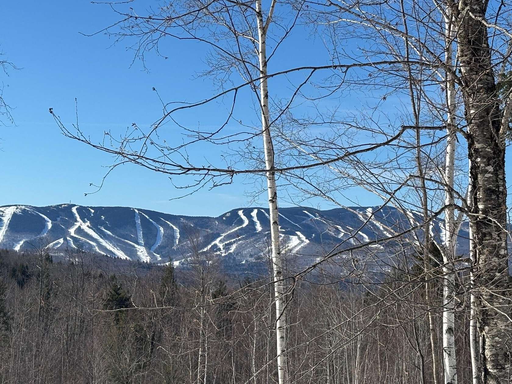 5.9 Acres of Residential Land for Sale in Newry, Maine