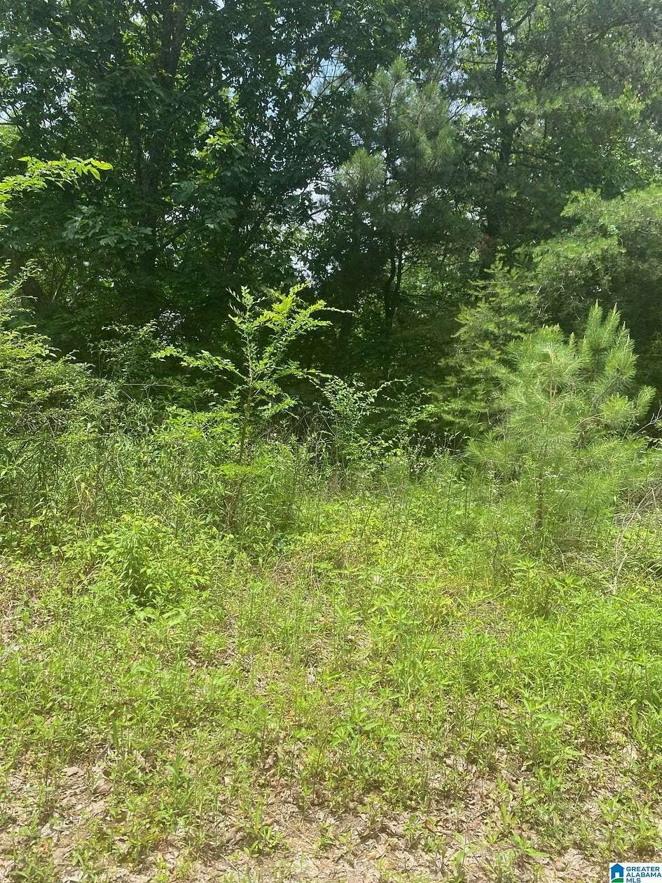 1 Acre of Residential Land for Sale in Odenville, Alabama