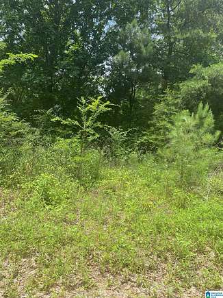 1 Acre of Residential Land for Sale in Odenville, Alabama