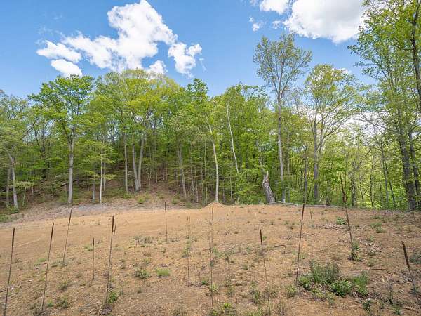 3.8 Acres of Residential Land for Sale in White Sulphur Springs, West Virginia