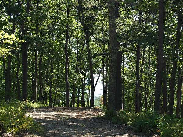 4.12 Acres of Residential Land for Sale in White Sulphur Springs, West Virginia