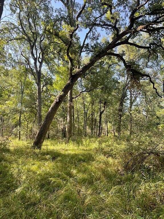 40.6 Acres of Recreational Land & Farm for Sale in Groesbeck, Texas