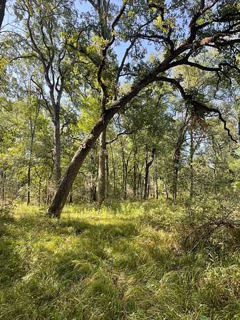 40.6 Acres of Recreational Land for Sale in Groesbeck, Texas