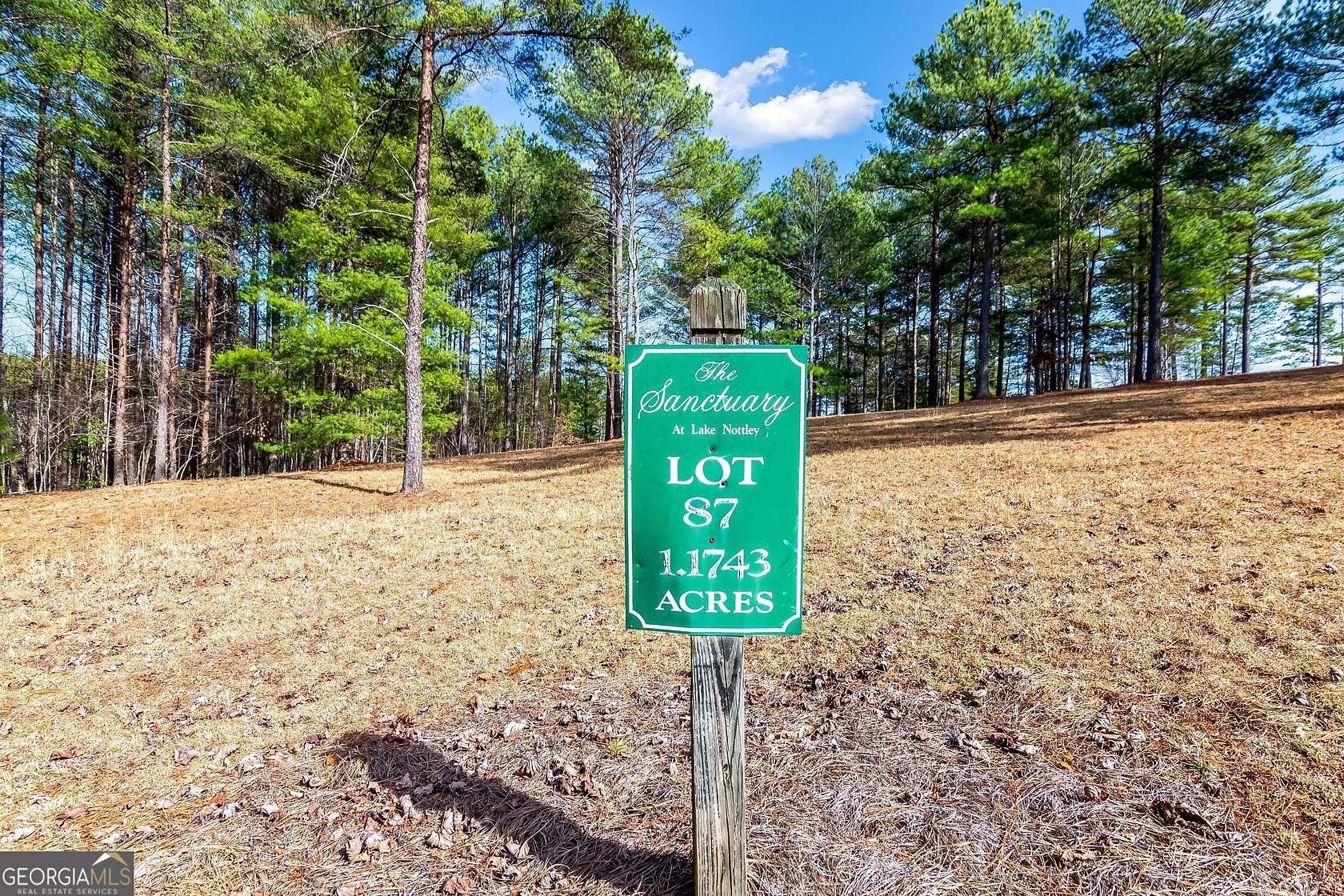 1.17 Acres of Residential Land for Sale in Blairsville, Georgia