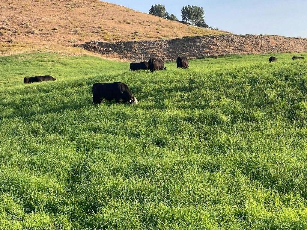 9.64 Acres of Land for Sale in Lewiston, Idaho